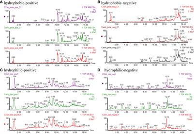 Multiomics analysis of metabolic heterogeneity in cervical cancer cell lines with or without HPV